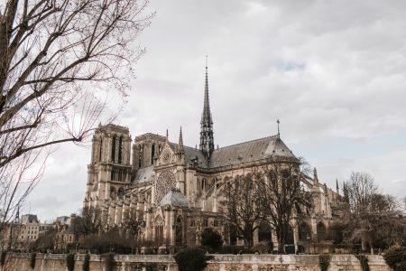 Notre Dame en México, la exposición 360° que debes visitar en el Museo Franz Mayer