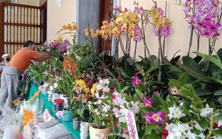 Llega el Festival de las Flores de Orquídeas a Reforma justo a tiempo para San Valentín