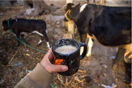 El Pajarete, un elixir con leche bronca genial para la resaca