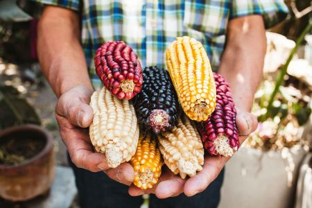 Palabras esenciales en náhuatl de nuestro vocabulario gastronómico