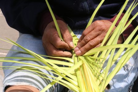 Palmas tejidas: herencia del Estado de México para el Domingo de Ramos