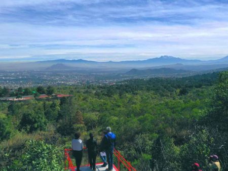 Parque Ecológico de la CDMX, un magnífico espacio de verdes abundantes