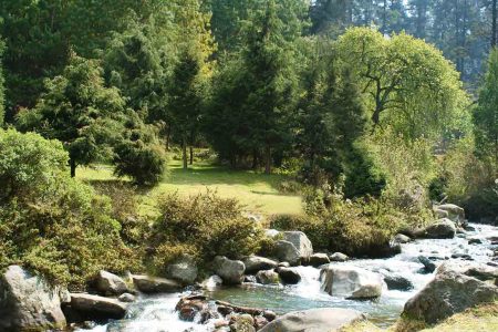 Parque La Cañada, el pequeño pulmón atravesado por un río en la CDMX