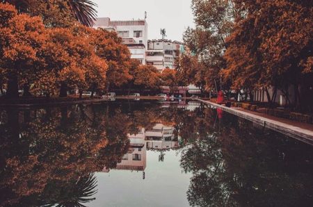 Razones para no perderte de las proyecciones gratuitas en el Parque Lincoln