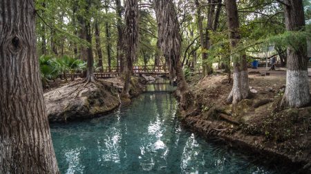 Parque Manantial de la Media Luna, la joya ecoturística de San Luis Potosí