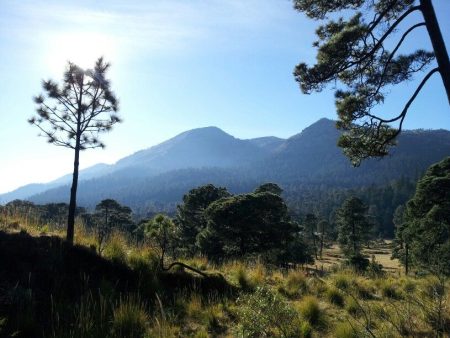 Conoce el pletórico Parque Nacional Cumbres del Ajusco