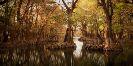 Lago de Camecuaro, un paraíso lleno de leyendas y aguas cristalinas