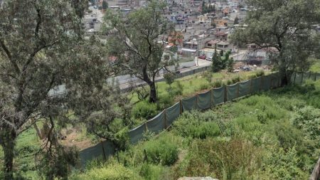 Parque Nacional Los Remedios, al rescate de un pulmón al borde de la extinción en Naucalpan