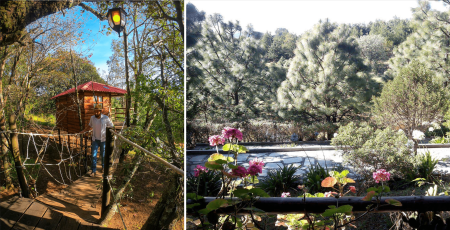 Conoce el asombroso Parque Sensorial Jardines y Puentes Colgantes