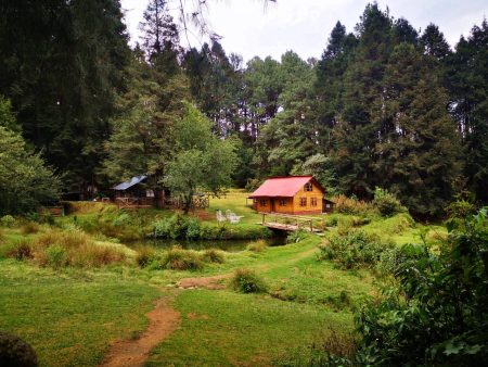 Peña de Lobos, un evocador bosque embrujado para encontrarse con lo paranormal