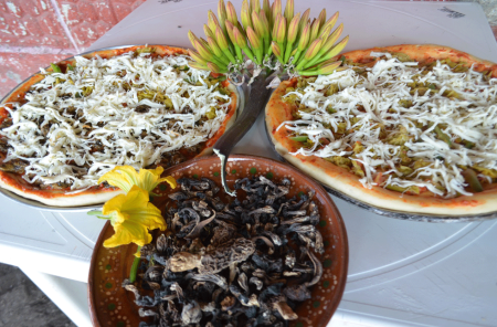 La legendaria pizza con masa de pulque y flor de maguey en el Centro Ceremonial Otomí