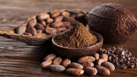 Planeta cacao, el tour del chocolate y el cacao en la rivera en Nayarit