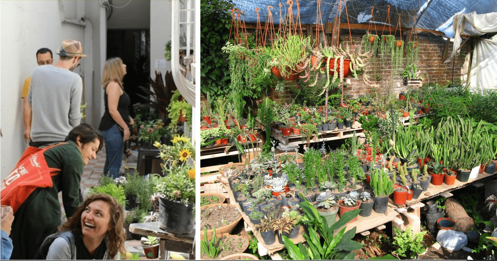 Regresa Plant Fest, el festival que nos recuerda que las plantas nos hacen felices