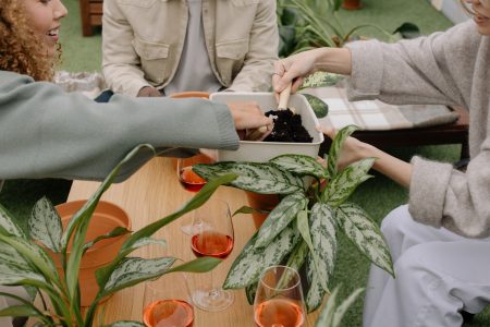 Plant Fest 2023, el evento que reúne en un solo lugar a los amantes de las plantas