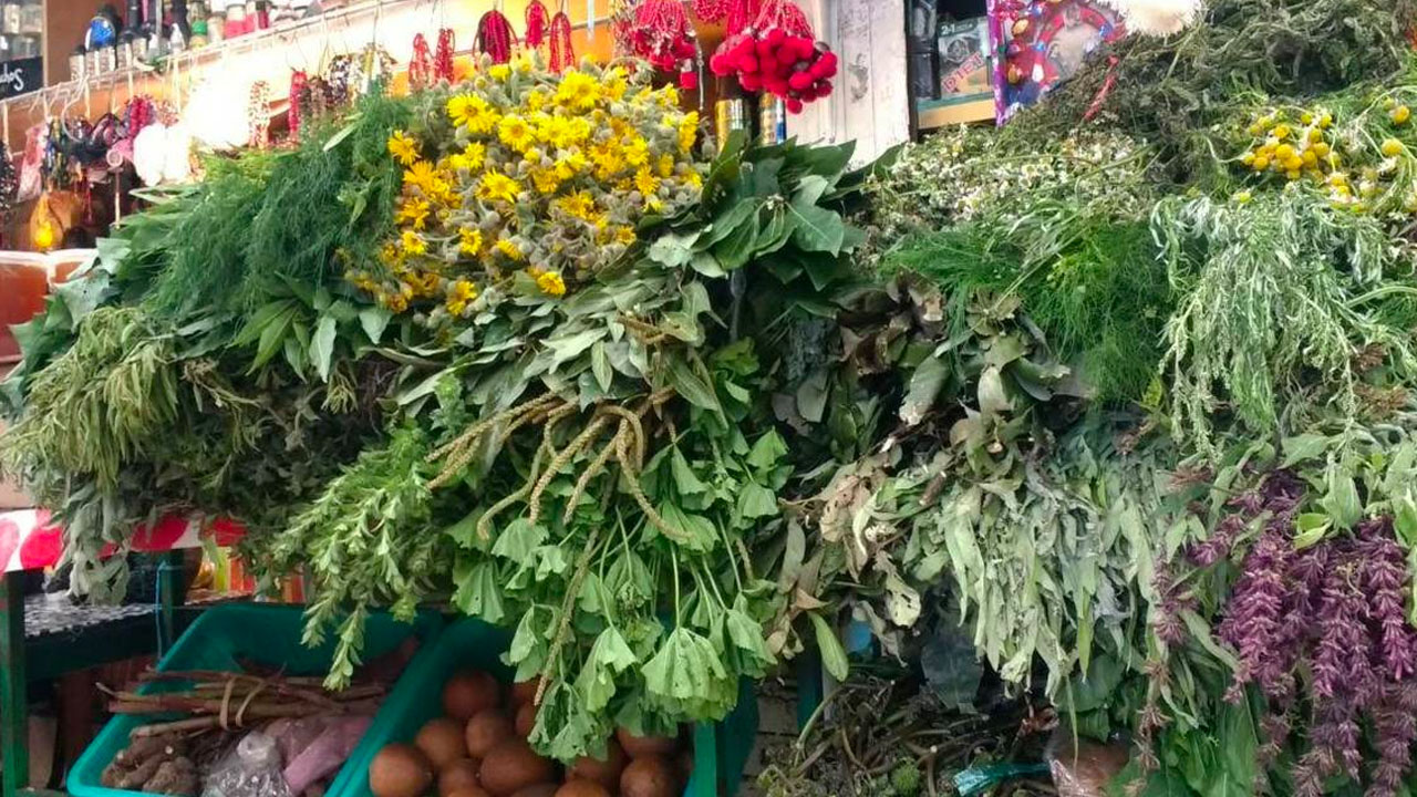 5 expendios de plantas medicinales en la Ciudad de México