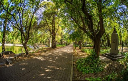 Calzada de los Poetas: el inadvertido pasaje de Chapultepec lleno de poesía