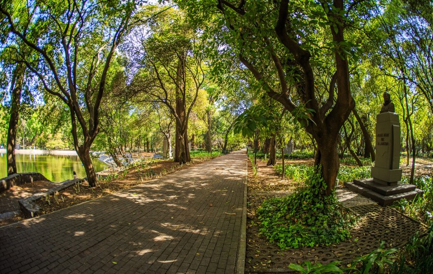 Calzada de los Poetas: el inadvertido pasaje de Chapultepec lleno de poesía