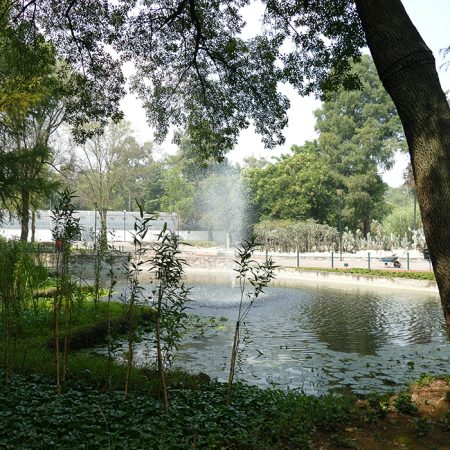 El primer Festival de Flores y Jardines llegará a la CDMX en 2017