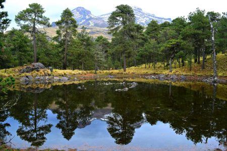 Sobre el micro-universo encontrado en las faldas Iztaccíhuatl