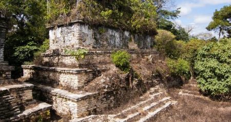 Poderoso Reino Maya es descubierto en un pequeño municipio de Chiapas