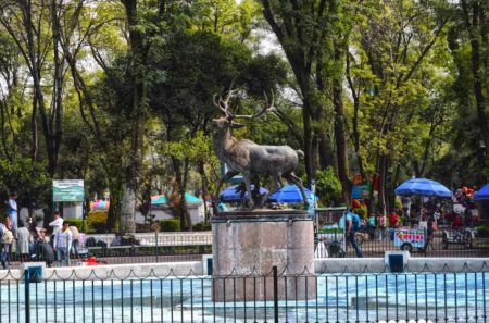 Lugares para comer rico, rápido y barato en la colonia Portales