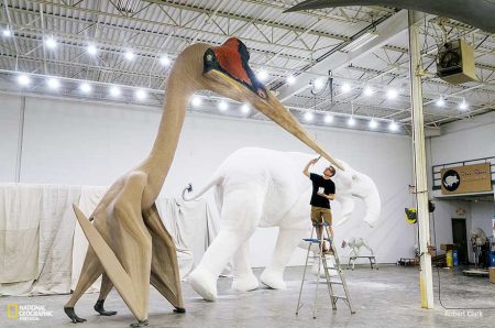 Quetzalcoatlus, ¿Qué tan grande era la majestuosa ave prehistórica?