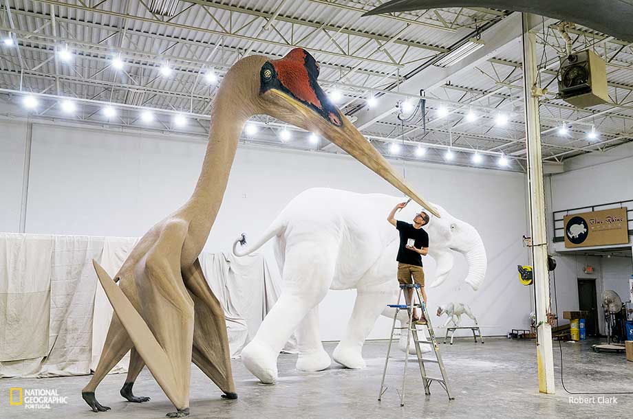 Quetzalcoatlus, ¿Qué tan grande era la majestuosa ave prehistórica?