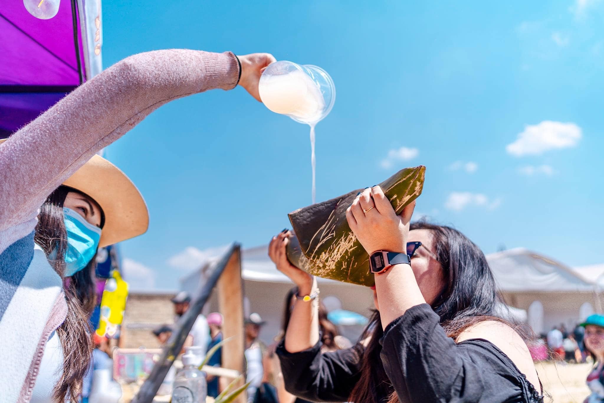 Pulcata Fest 2023, el festival dedicado al pulque en la Ciudad de los Dioses