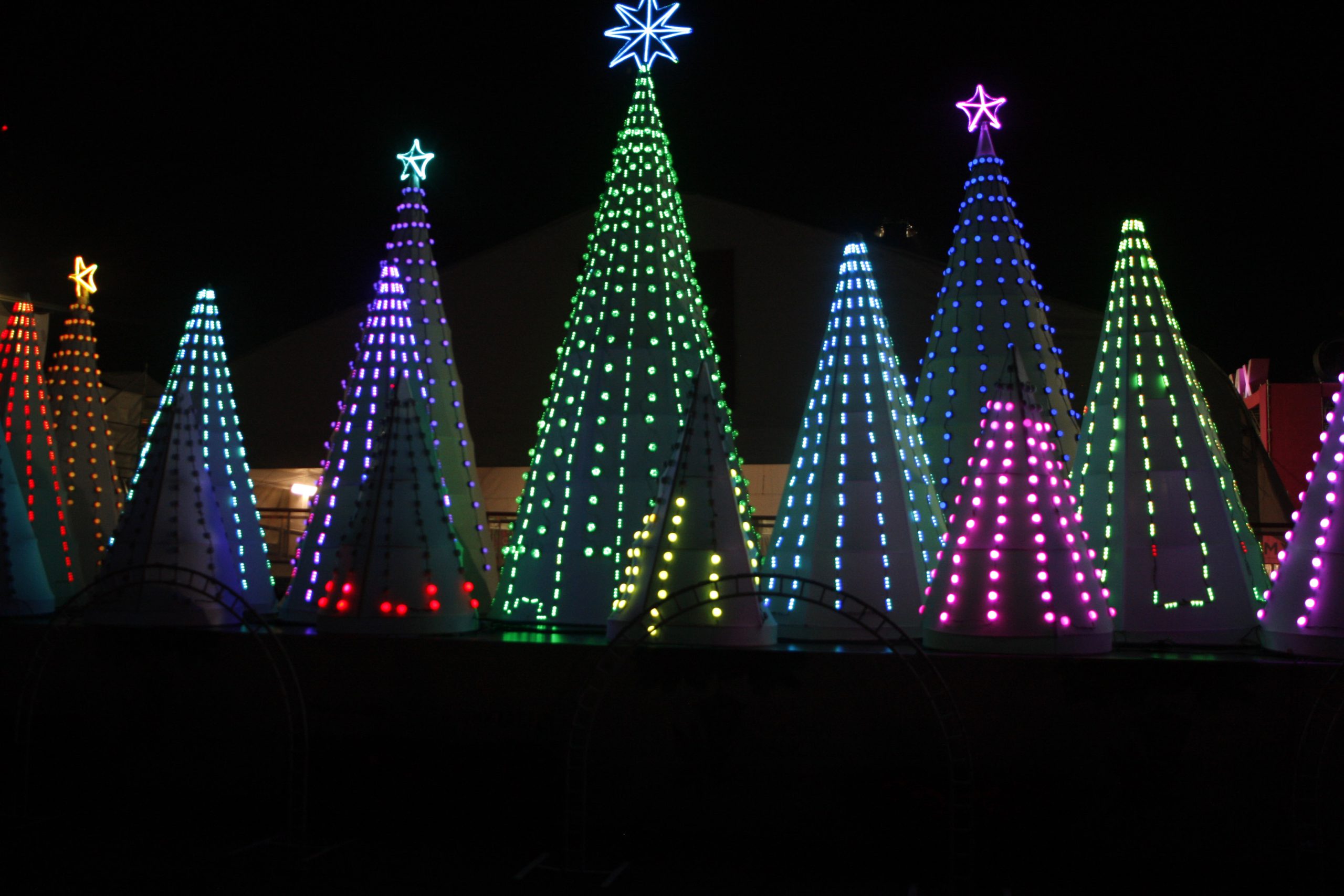 Algunas razones para celebrar esta Navidad en el Zócalo