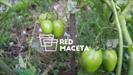 Conoce Red Maceta, la plataforma de productos locales y sustentables