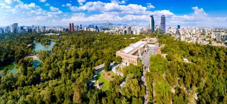 La CDMX es reforestada con 28.5 millones de arboles y flora silvestre