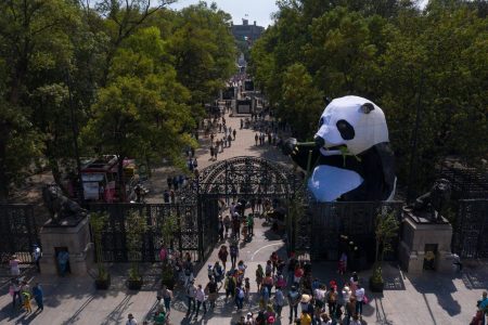 La transformación del Zoológico de Chapultepec en un fascinante centro de investigación animal