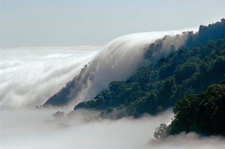 Reserva de la Biosfera El Triunfo: una joya biológica mexicana