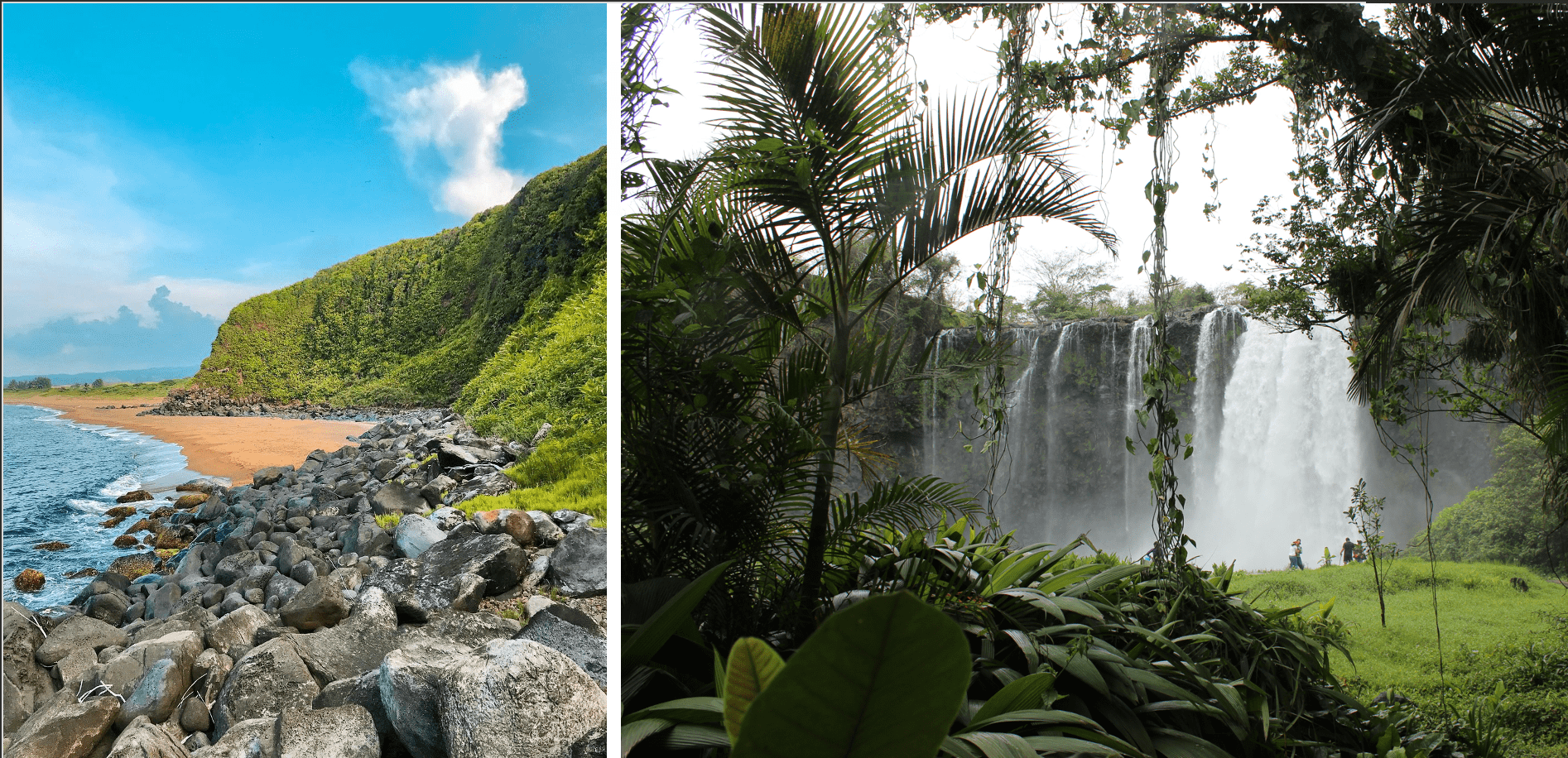 La Reserva de Biosfera de los Tuxtlas, una de las áreas con mayor flora y fauna endémica del país