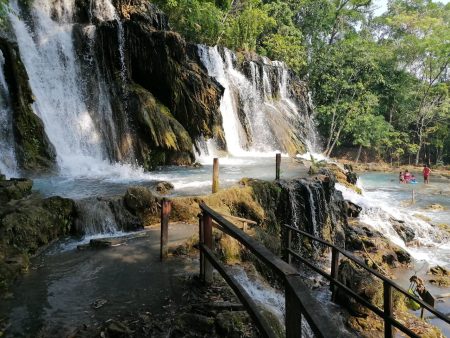 ¿Qué hacer en la Reserva Ecológica Villa Luz Tabasco?