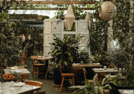 15 restaurantes aesthetic en CDMX para conocer durante Art Week 2024