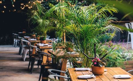 10 restaurantes para vivir el sabor del verano en la CDMX