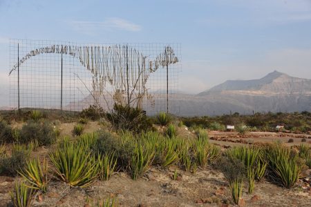 Rincón Colorada: sigue las huellas de dinosaurios en esta zona Paleontológica