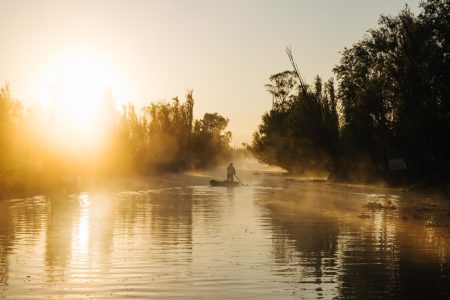 Con biorremediación y micronanoburbujas limpian chinampas de Xochimilco 