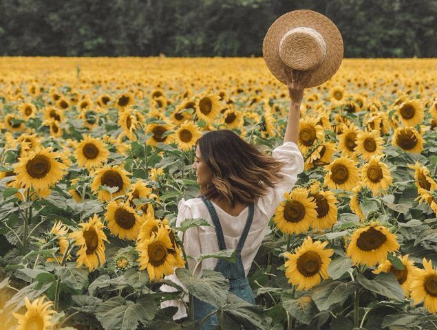 La mejor manera de recibir la primavera: visitar el Santuario de Girasoles