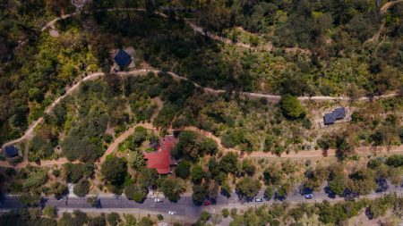 Serpientes y Escaleras, el peculiar circuito del Bosque de Chapultepec para la aventura