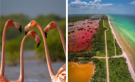 Sisal, no es un pueblo mágico, es un paraíso de colores y flamingos