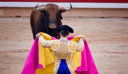 Juez suspende corridas de toros en la Ciudad de México