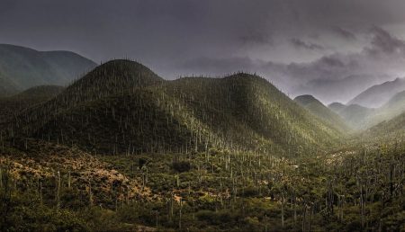 Valle de Tehuacán-Cuicatlán: el sitio con más biodiversidad de todo México