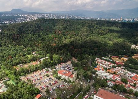 Estos son los tesoros culturales de la alcaldía de Tlalpan