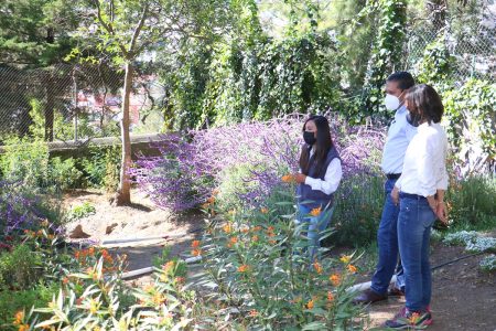 Estado de México crea jardines de refugio para polinizadores en diversos puntos