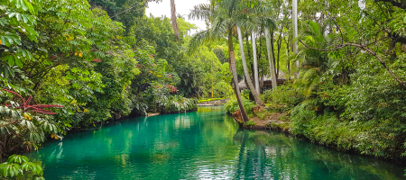 Balnearios con áreas verdes y espacios ecológicos cerca de la CDMX