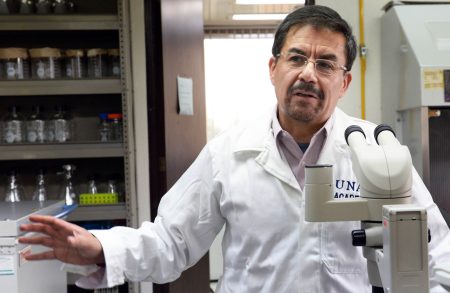 Un descubrimiento de científico de la UNAM podría acabar con la obesidad y diabetes