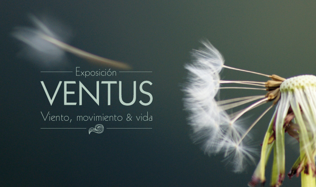 Exposición: Ventus. Viento, movimiento y vida