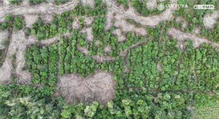 En este tramo del Tren Maya se descubrieron cerca de 10 mil vestigios arqueológicos